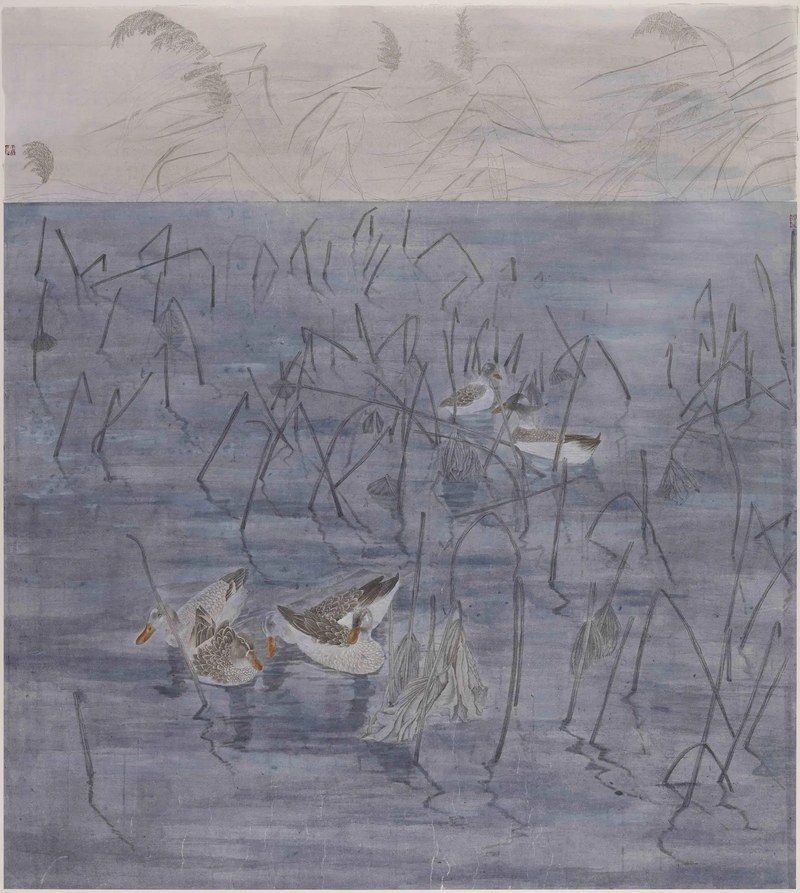 芦汀野鸭